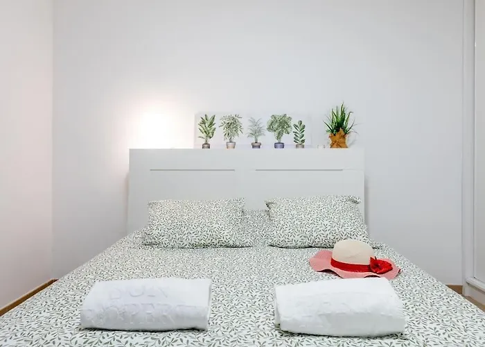 Carolina 8 Apartment
