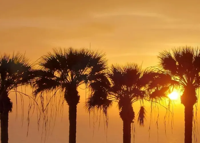 Carolina 8 아파트 *