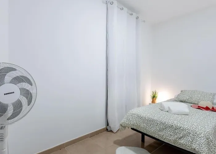 Carolina 8 * 아데제