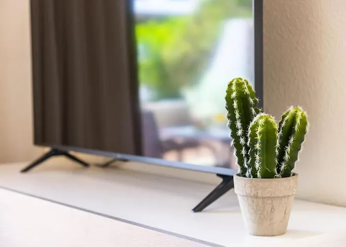 아파트 Carolina 8 아데제