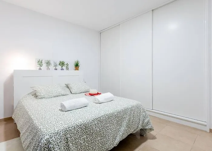 Carolina 8 * 아데제